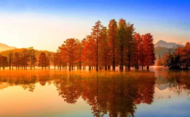 20815444a45c20122cbc7e48d08394a5-sz_441634