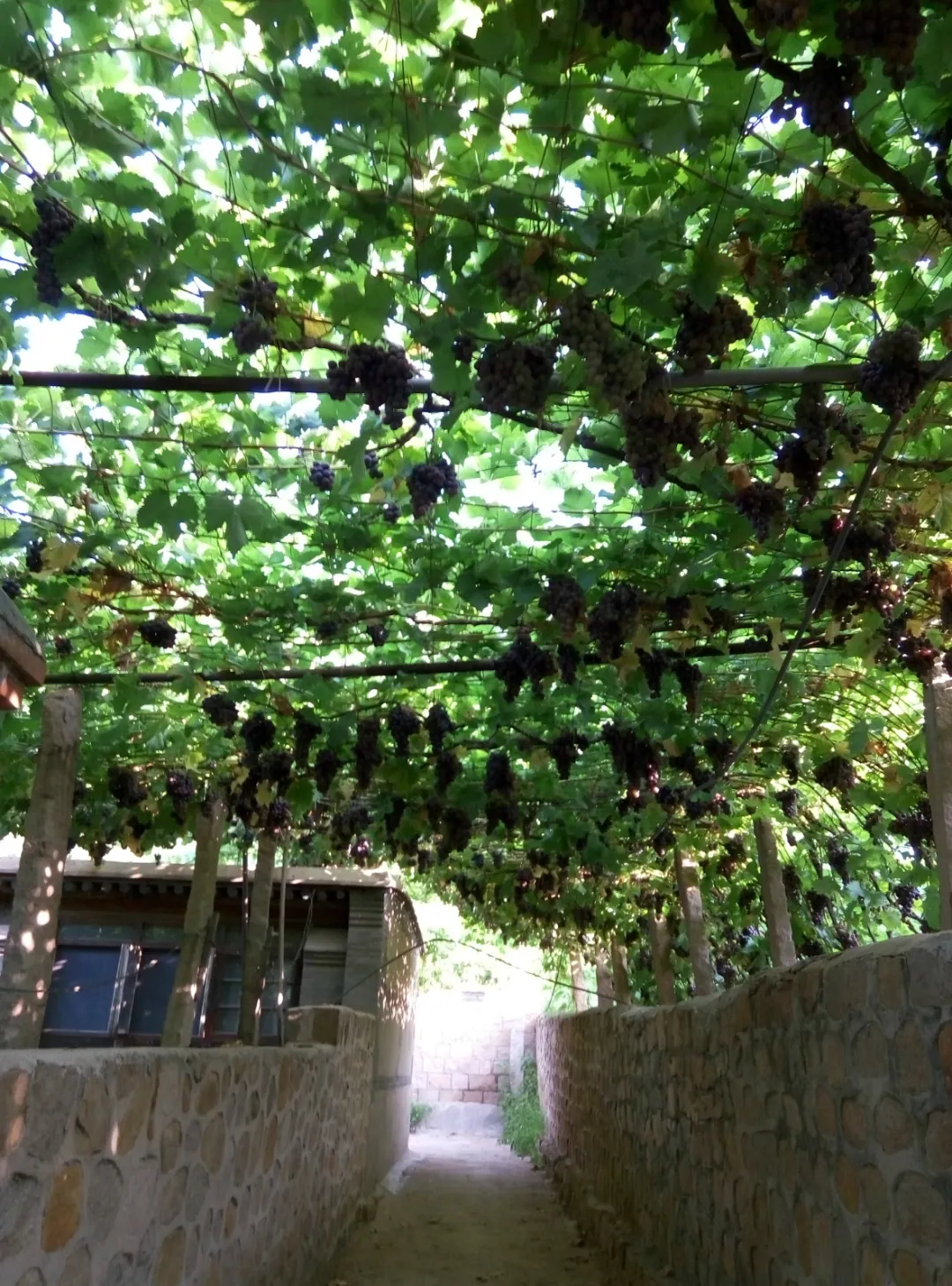 208bf9a030f4b1533f3d0092c3521a98-sz_753630