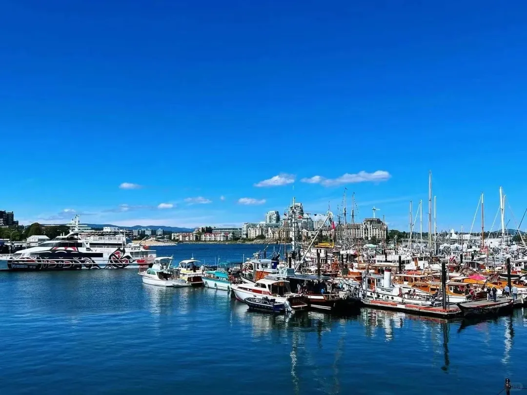 209ab061924cf8b9b51ae785fc2a14a0-sz_288508-1