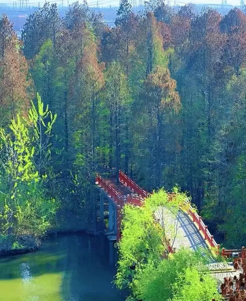 20ba135d2c1e7b68367eee3baa267fc0-sz_843041