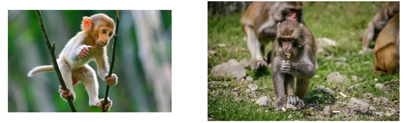 20c387399de1d2e98b66aff3cc8ef7d2