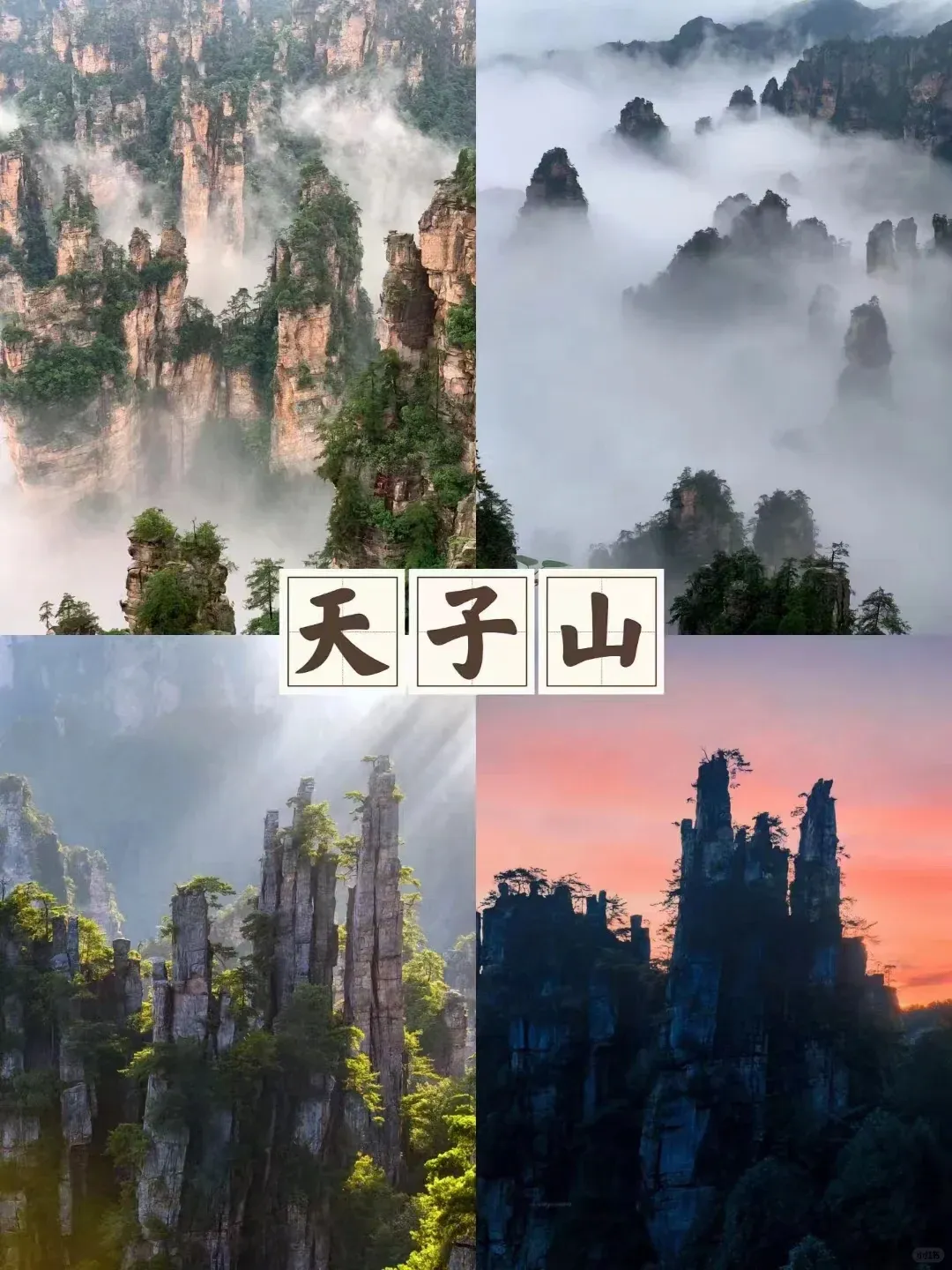 20ff936bb3925374cd71f2191b312552-sz_2444816