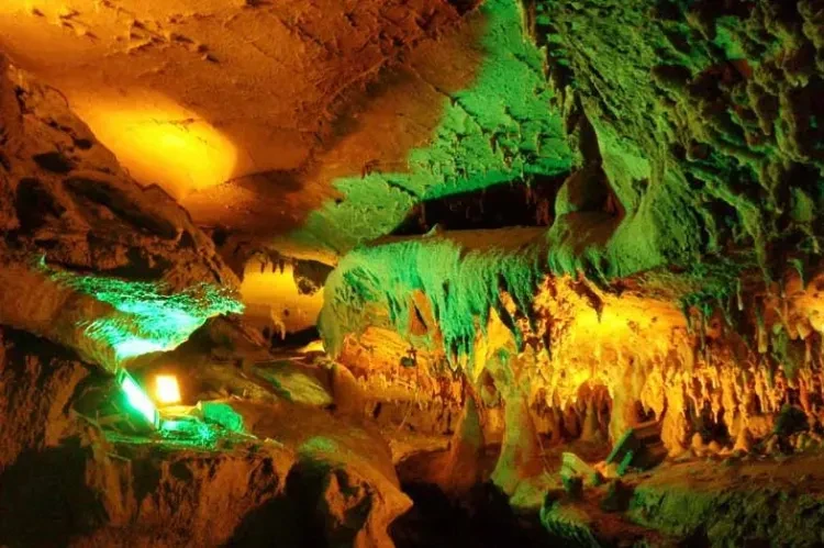 21097d0c6a8ae7e8d2d6b174859be476-sz_820327