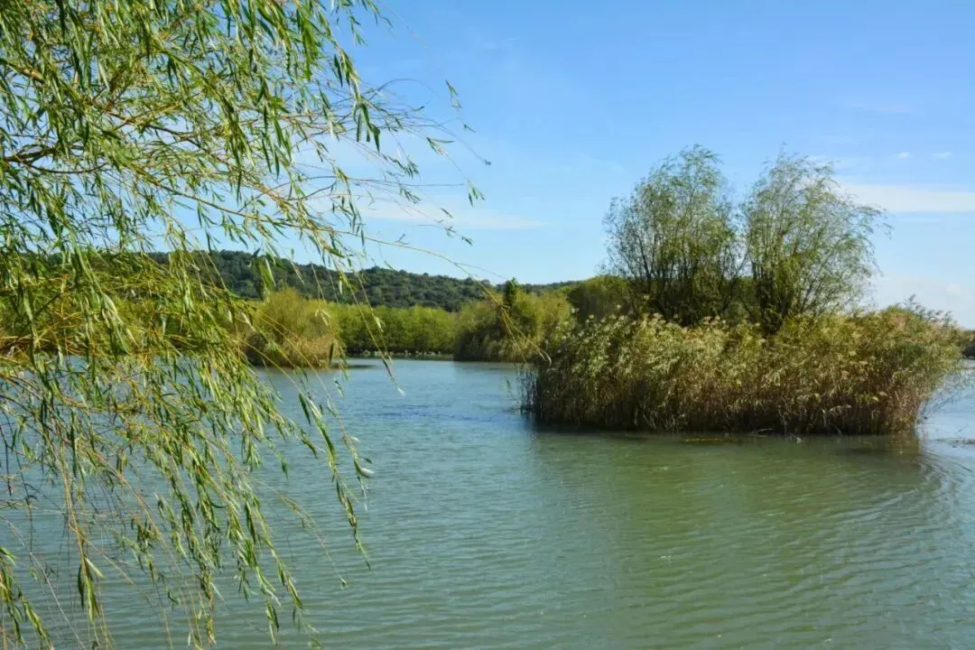 215fe49a254345a10dfa8180c7760947-sz_161180