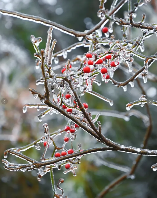 2196adaf4517290032049e4ebcc1d73f-sz_967930