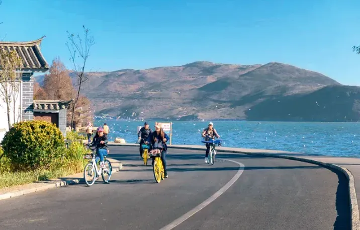 21acea42a985e3afbed8444b0fb1d092-sz_526101