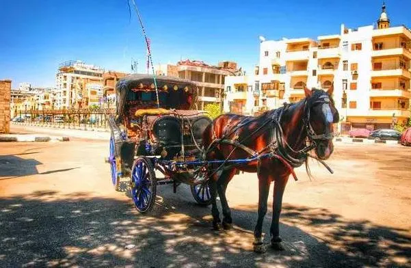 21b11e831e6b35d835d9aac3fe57d21d-sz_588464