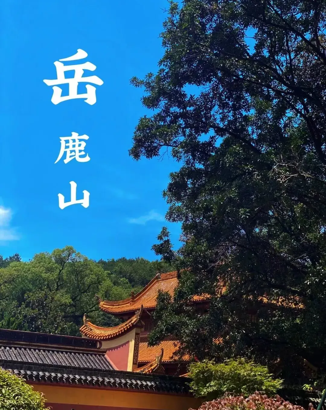 21c9ac83c5b6fcc7907e45a3f054531b-sz_3111130 21c9ac83c5b6fcc7907e45a3f054531b-sz_3111130