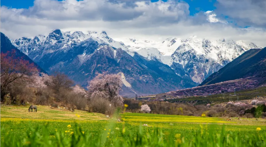 21dc41208c927c0deb0f88f3b19e25f8-sz_1152590