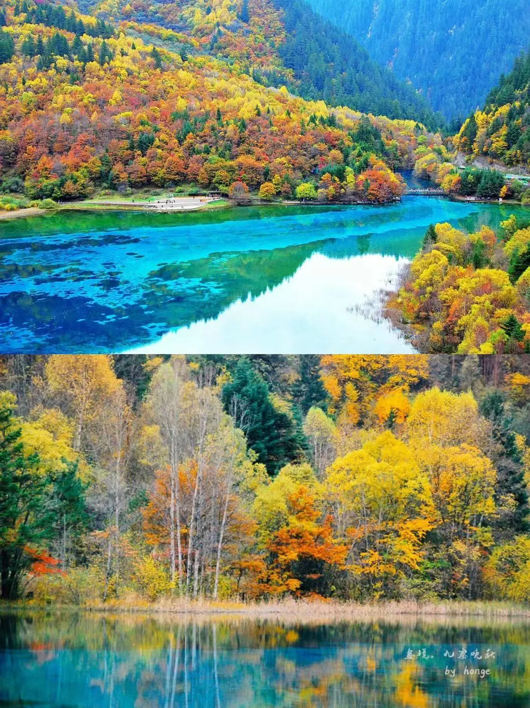 21ddafc391243bdc1d416f40121526a9-sz_377171