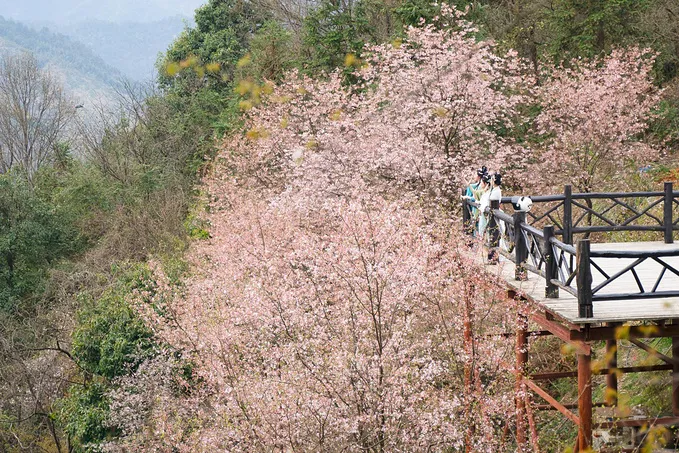 21e727cdc7b68761417b965bae854667-sz_297361-1