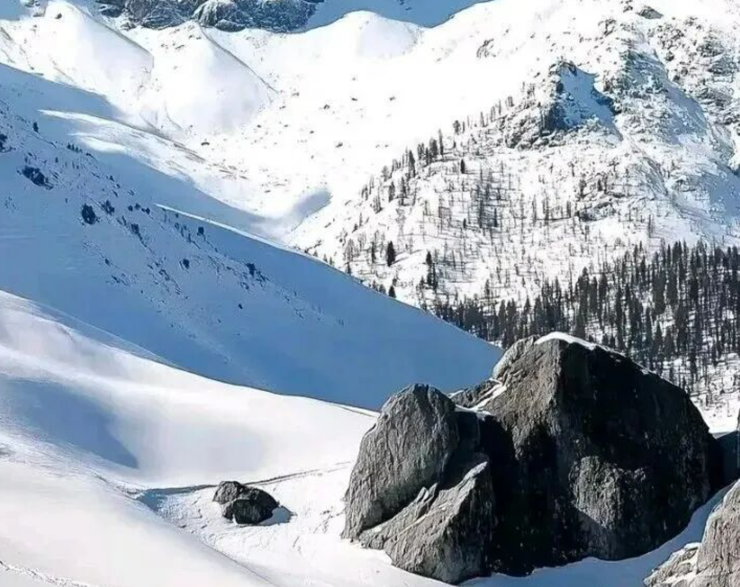 222140bbdec05fb6ffdb326a1ed07e4c