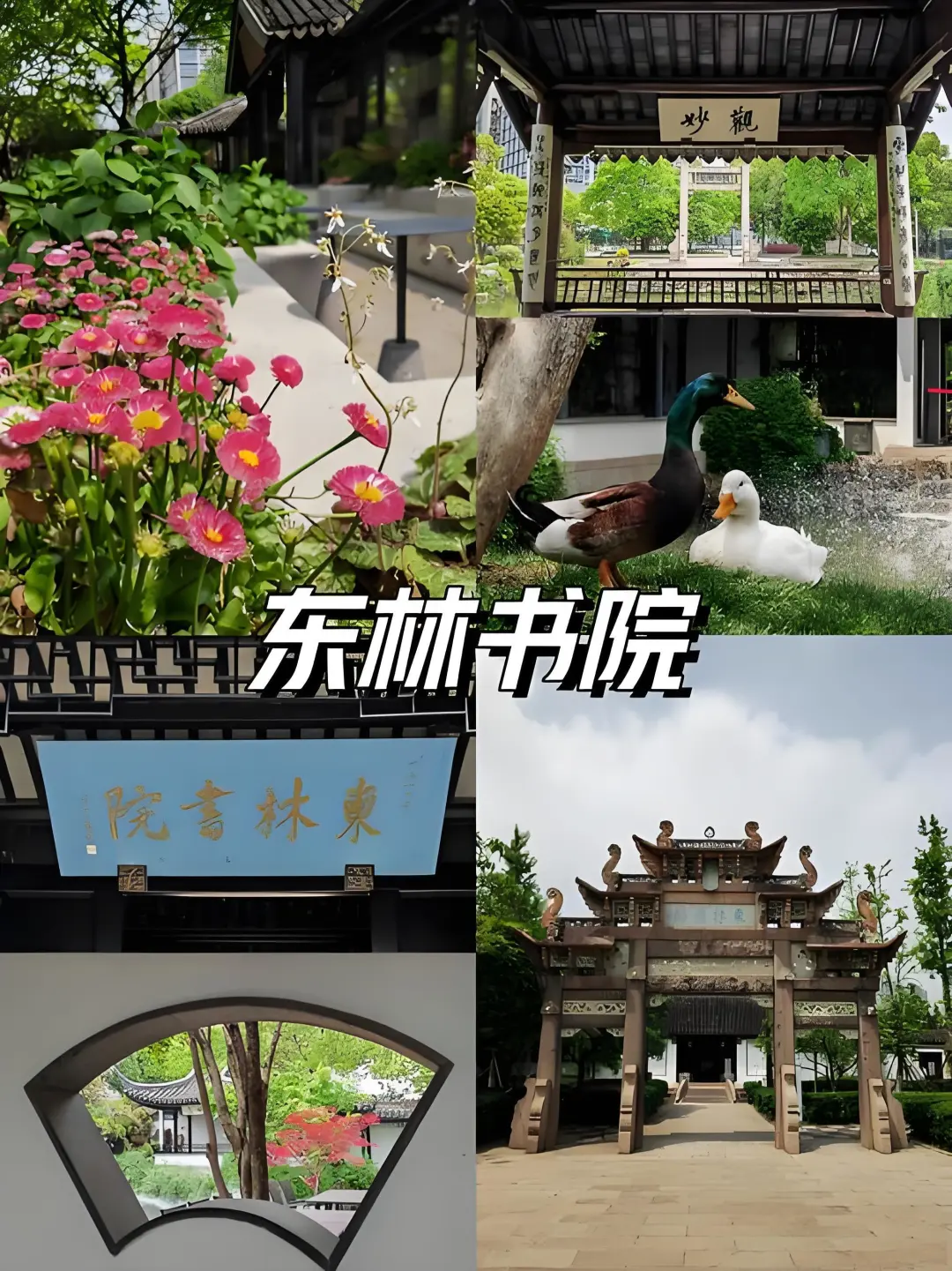 2236e9e64cde31fd6bfa8b903ba0ed18-sz_740039