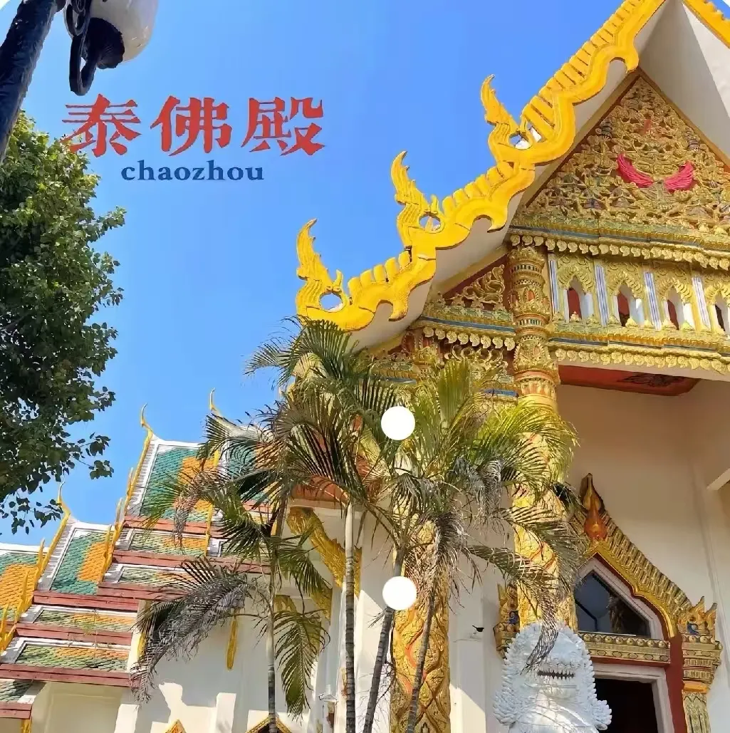 224b02b882c91a9fec011b681eb75433-sz_1880845