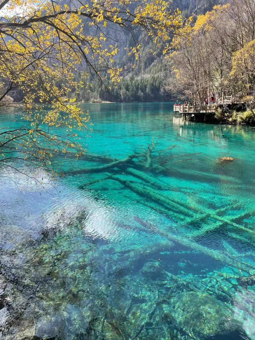 234fbeab3d6069282eb33838724a41e9-sz_321638