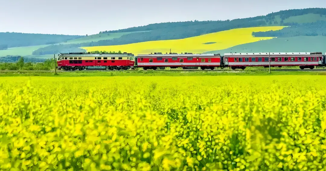 235a67e9225e1737721aaad88d8628d3-sz_1338532