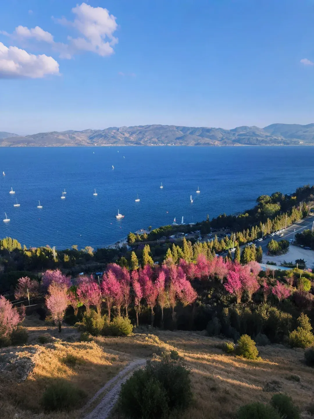 2388e2e4b720b6bb052a7796e2d6c038-sz_1997494-1