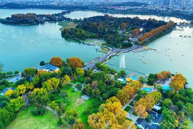 23ccaadc5d53d29667eb30655007cfee-sz_76593