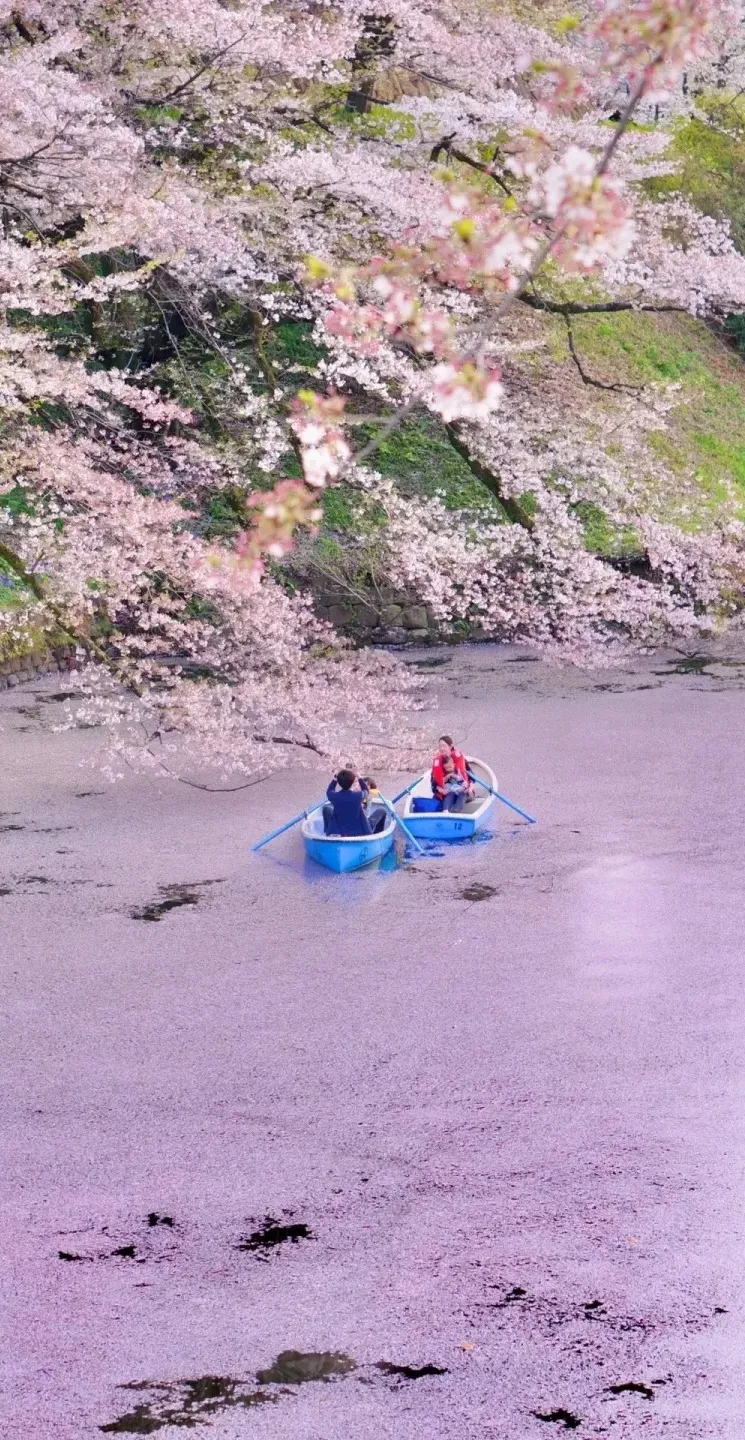 23e7901e150c6e4f1d8959011c1d7f24-sz_678817-1