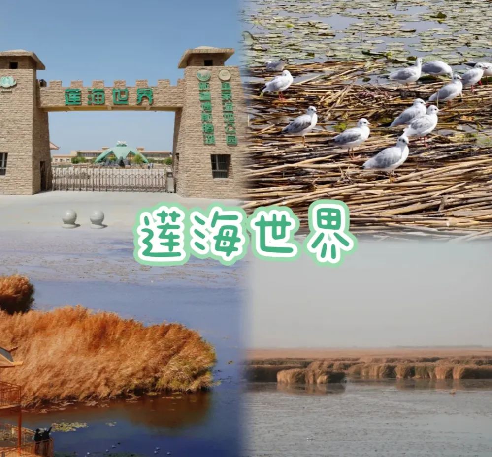 23f8124036aead6bb8daa5a9d0741f37-sz_1314344