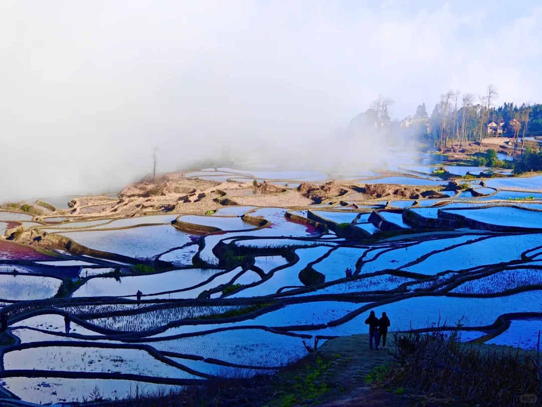 2403632155f5bd6fade7ec8dc059e27e-sz_2577538-1