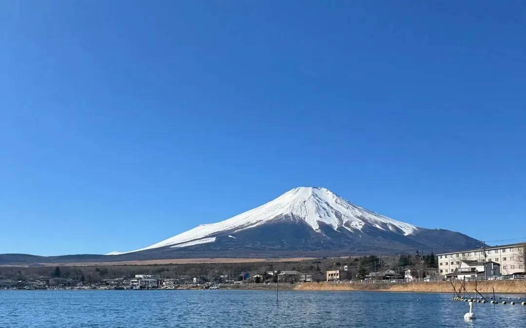 240a4d1c3e8e87c540be023c34b3de40-sz_286050 240a4d1c3e8e87c540be023c34b3de40-sz_286050