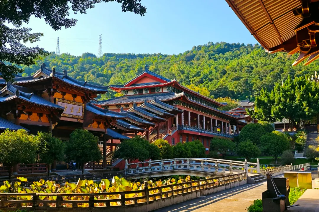 24262021f2c789eeaefe6ebb26d4e6a7-sz_1828050