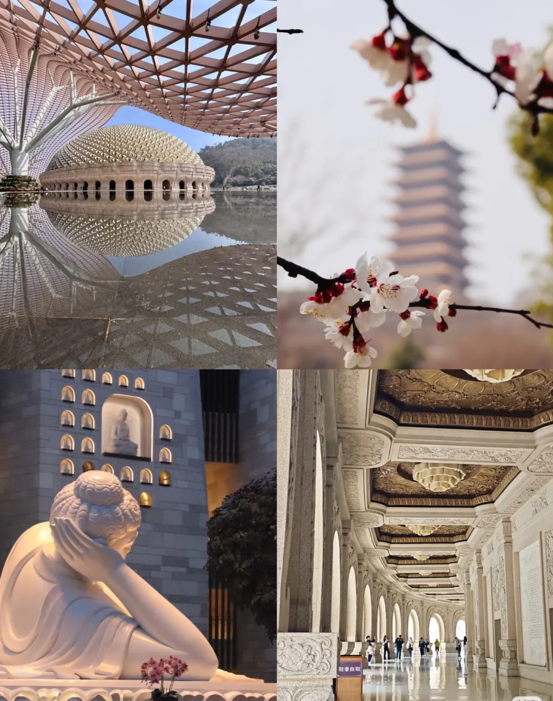 2434ed3b491c143fc831e9fa7ff0df49-sz_1494540