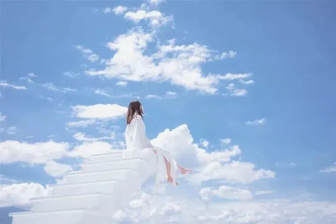 24797ba5506d524735a569a149fca6fc-sz_24446