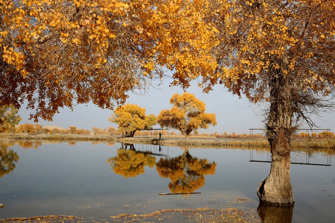 24847955f89cd4e83ef714d817926cbc-sz_653209