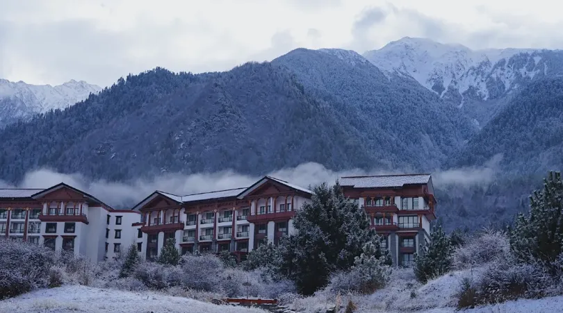 24cc2b164b3b584ee18a0abbf929e5ab-sz_572698