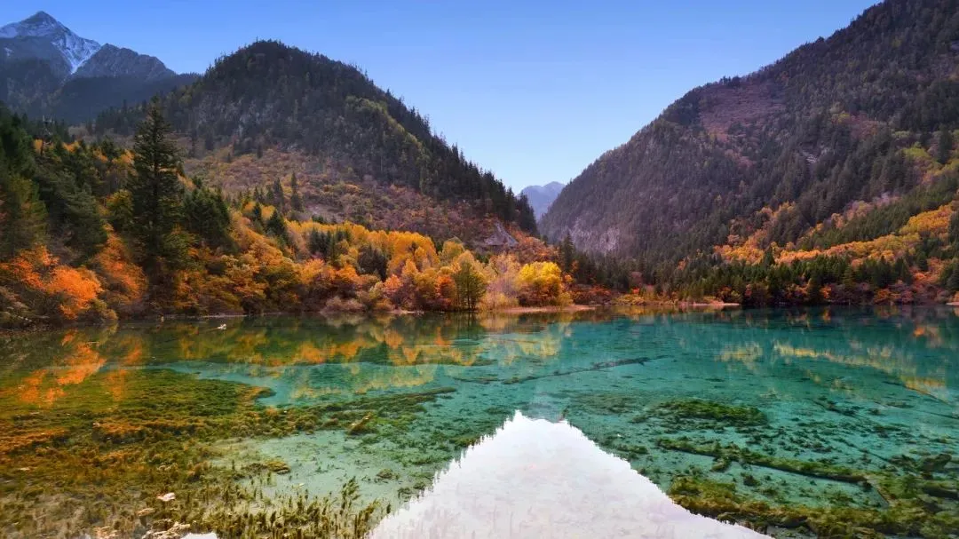 ￥2899起【秒杀四川】全景双飞8日游•2+1保姆车•升级4晚4钻酒店+2晚3钻酒店•九寨沟.黄龙.乐山大佛.峨眉山.都江堰.熊猫乐园.黄龙溪古镇.成都