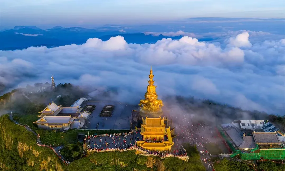 24e48eda1624afa6a94e51a1db3984cc-sz_1264433