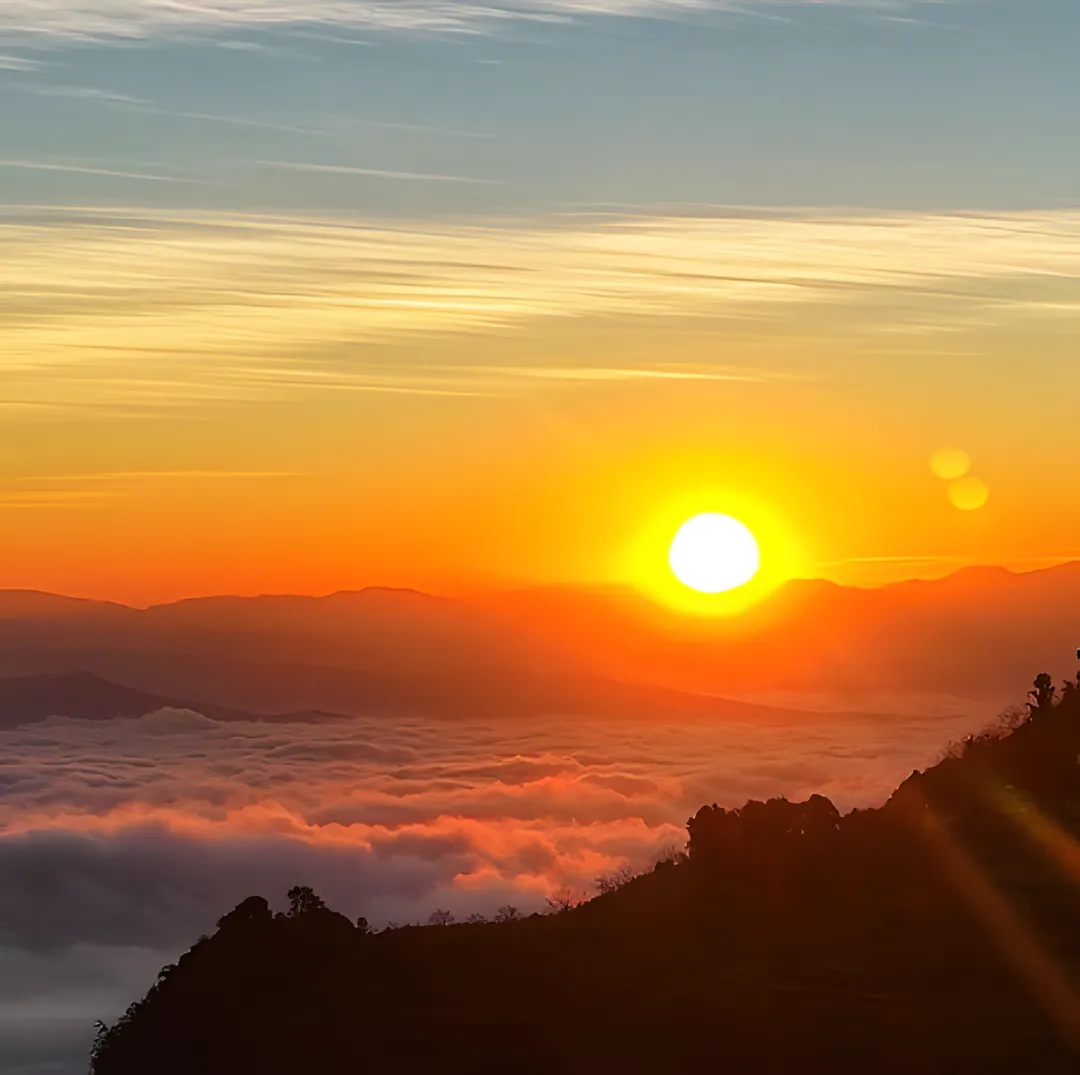 2500041e38a4d079f612432ef0a51d51-sz_3375127