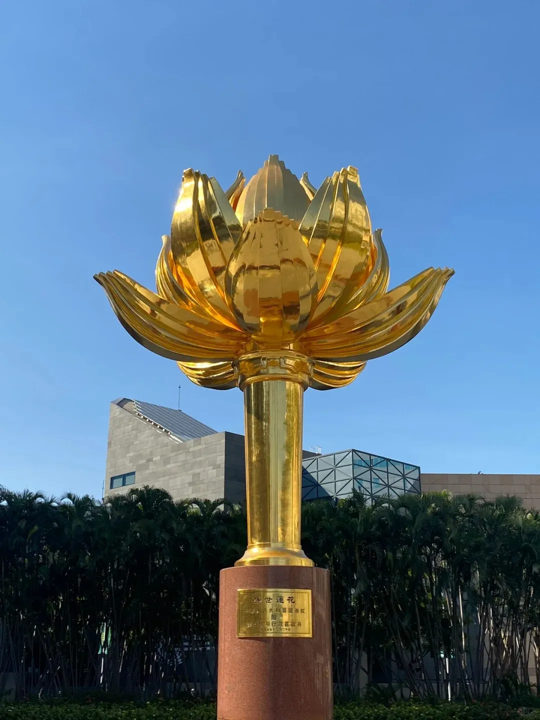 253c40d98f05661a2e7c2f33b85ab878-sz_264282-1