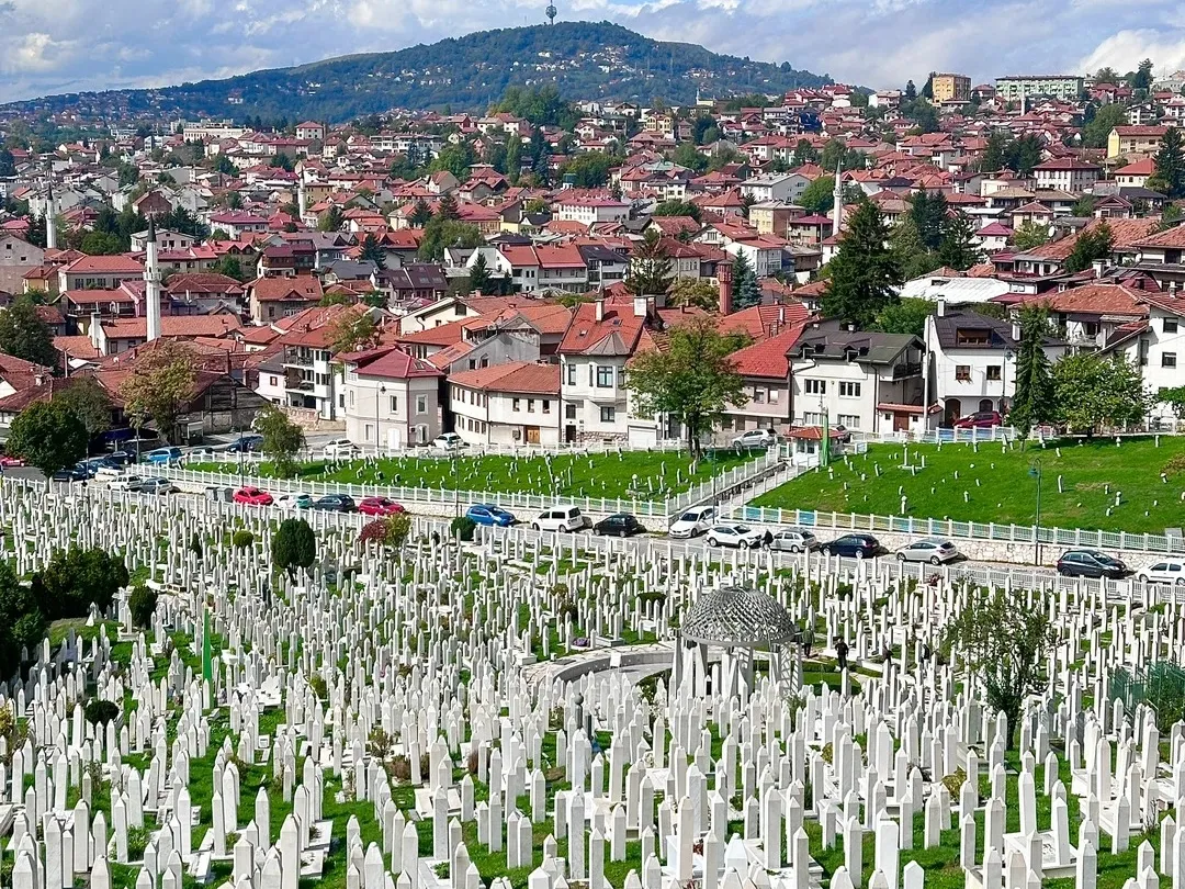 256e4de618c6593556c2d6b0391d21a2-sz_747711