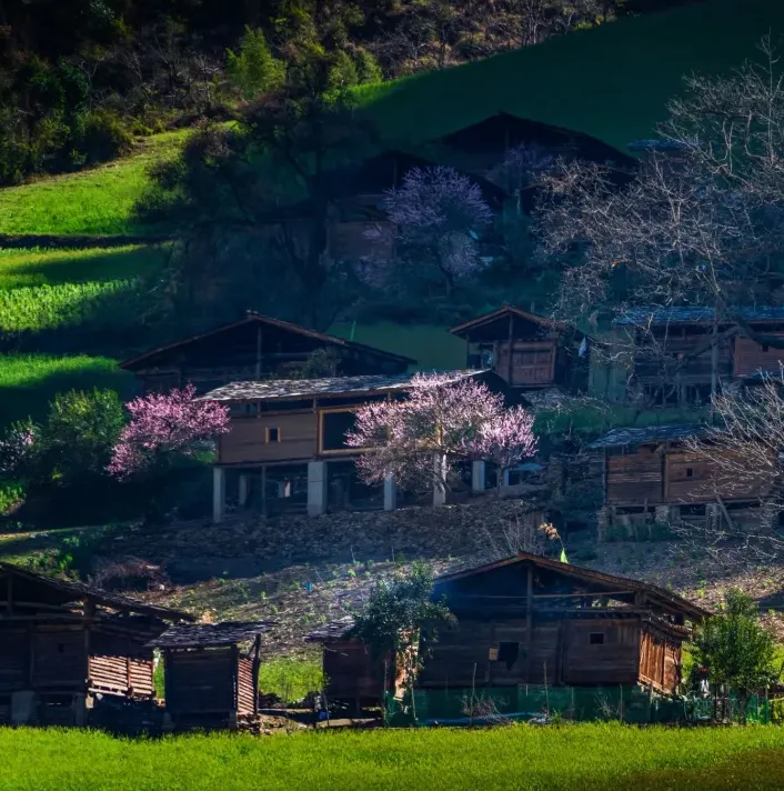 258bdab3ef99a4d847d9ffff8a1af3d1-sz_1088144