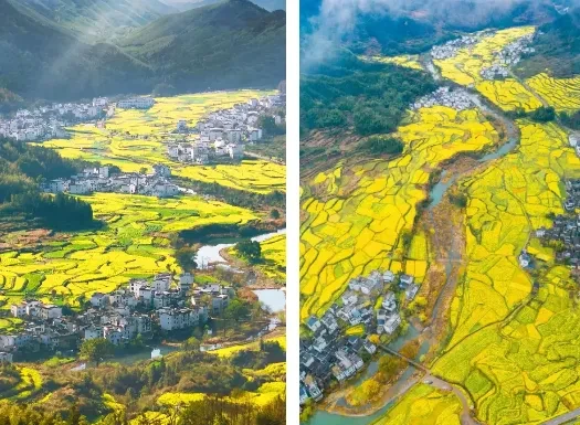 25c26e79c287badaca3ef5f71047b3c8-sz_638373