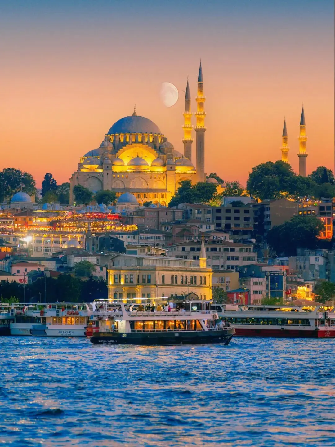 25d2834c3ce480e236726c8eb738a3c2-sz_249312-1