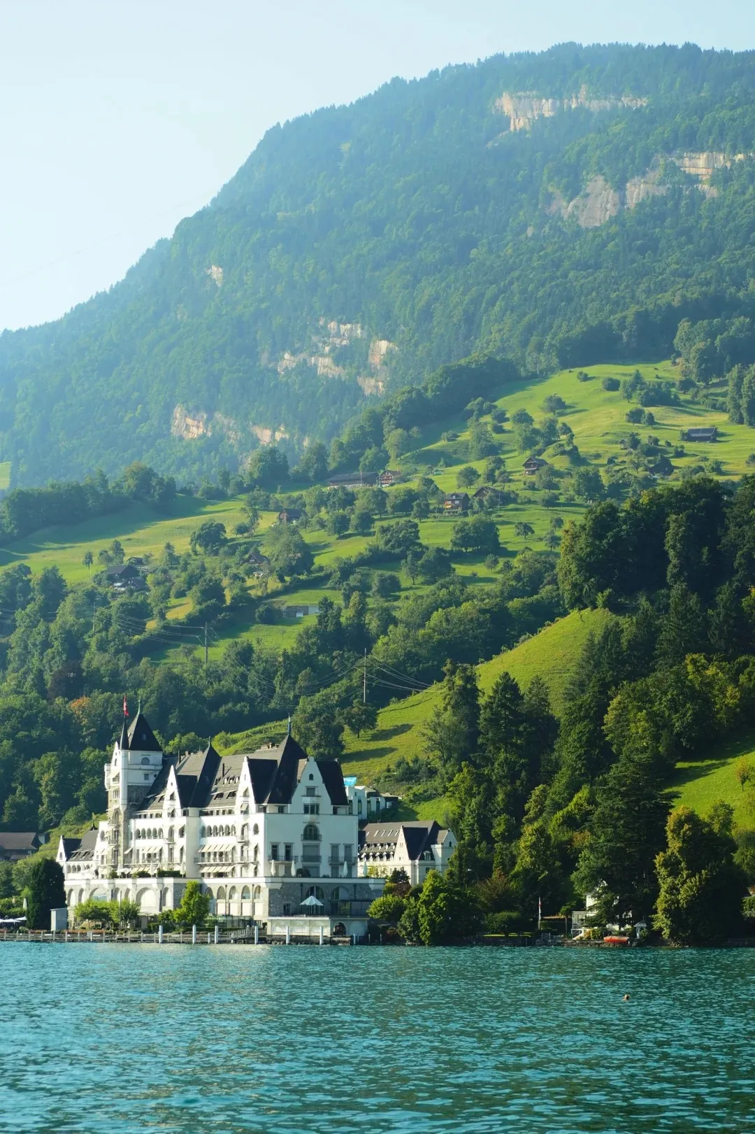 25e00a78cc4c1aced5e133238a597b72-sz_548356