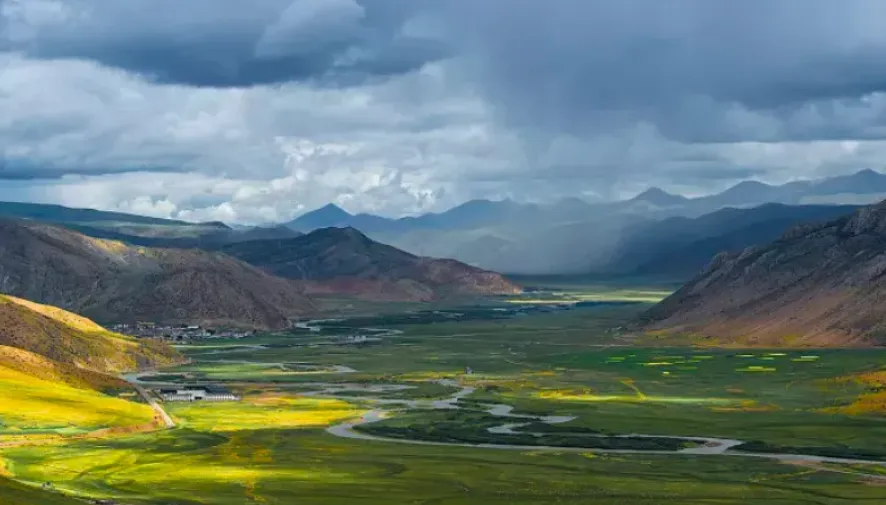 265f6ea93e7ff91cfadd60bd497d1ebb-sz_874886