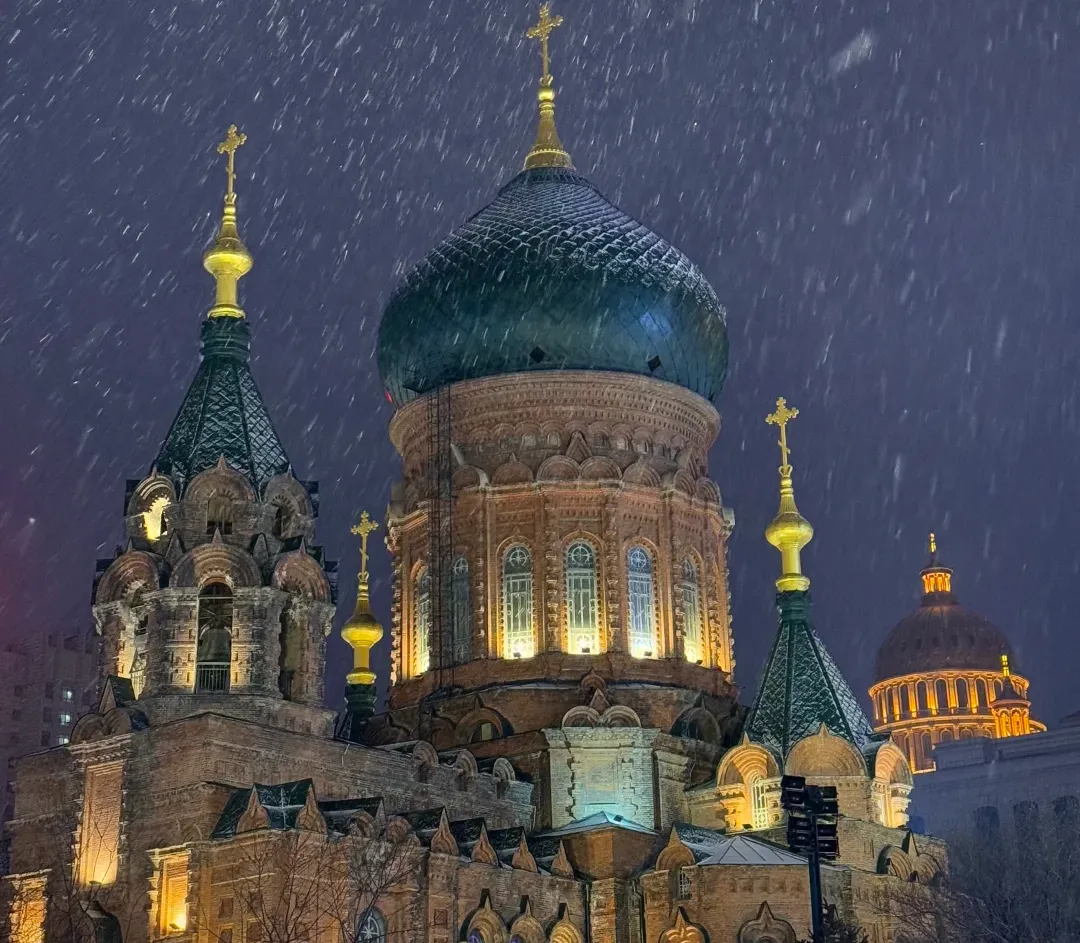 2666ef15e8b4d84c10cbca9e8625554d-sz_2282969