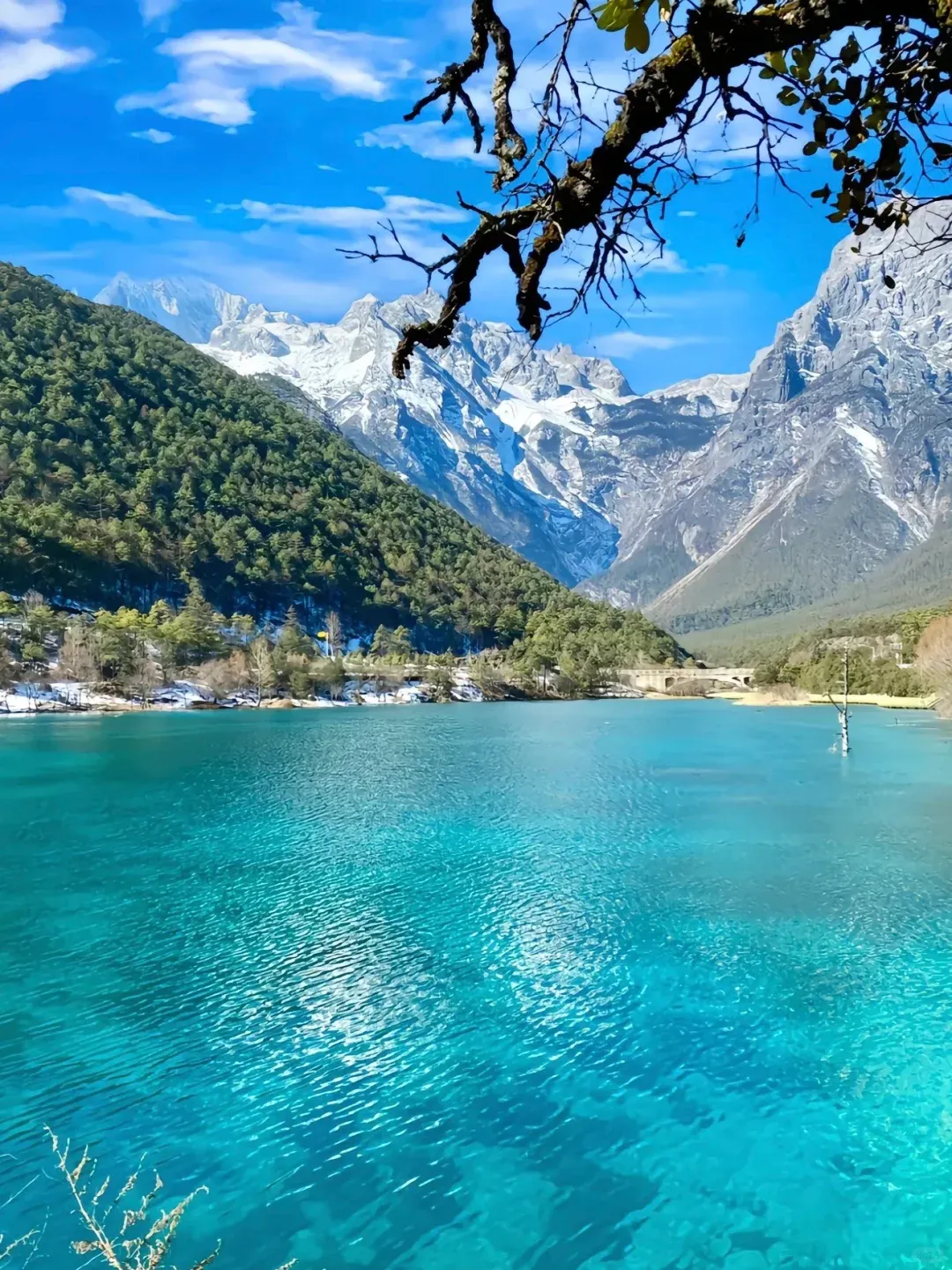 2667c3ca512b5c09029c7a13ef5865bd-sz_3501593