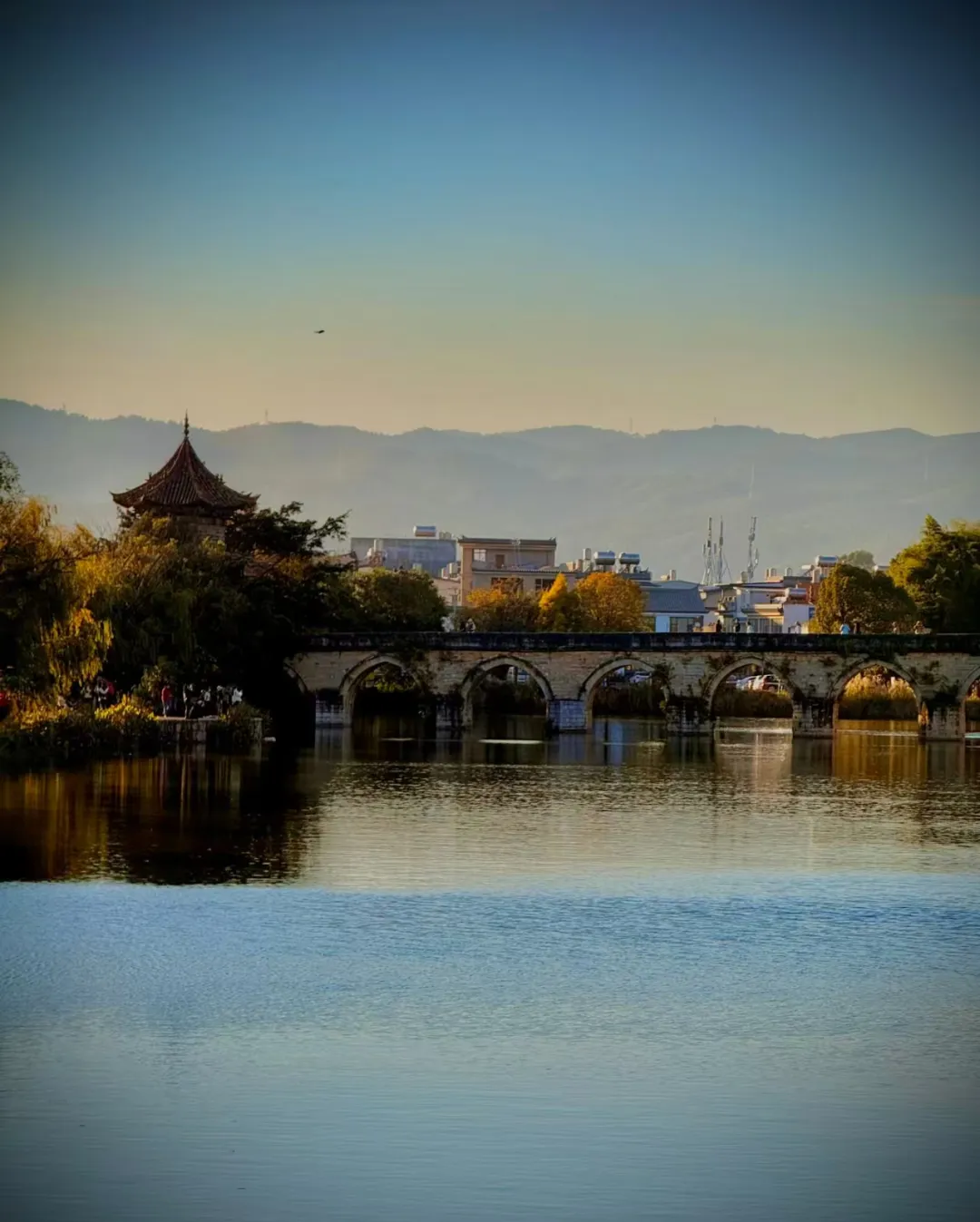 2680985ef1bd5105bb259c76e0a7f489-sz_882709