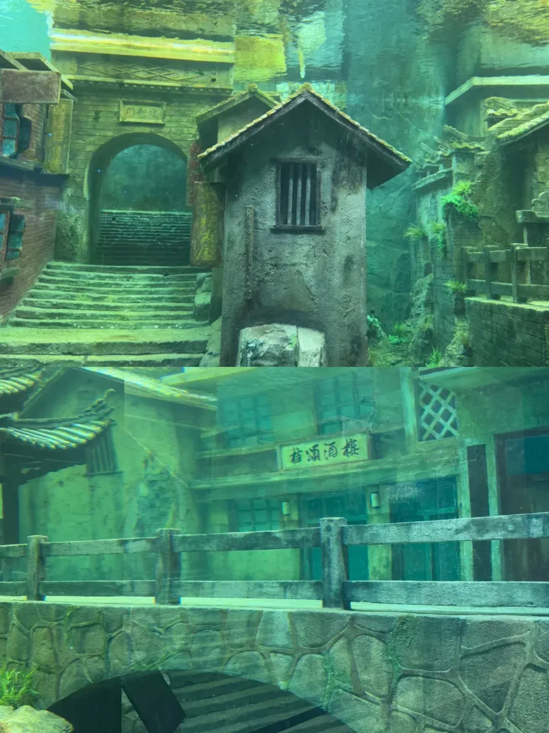 2689acc77585a55b07d881e88ff3db24-sz_2432732