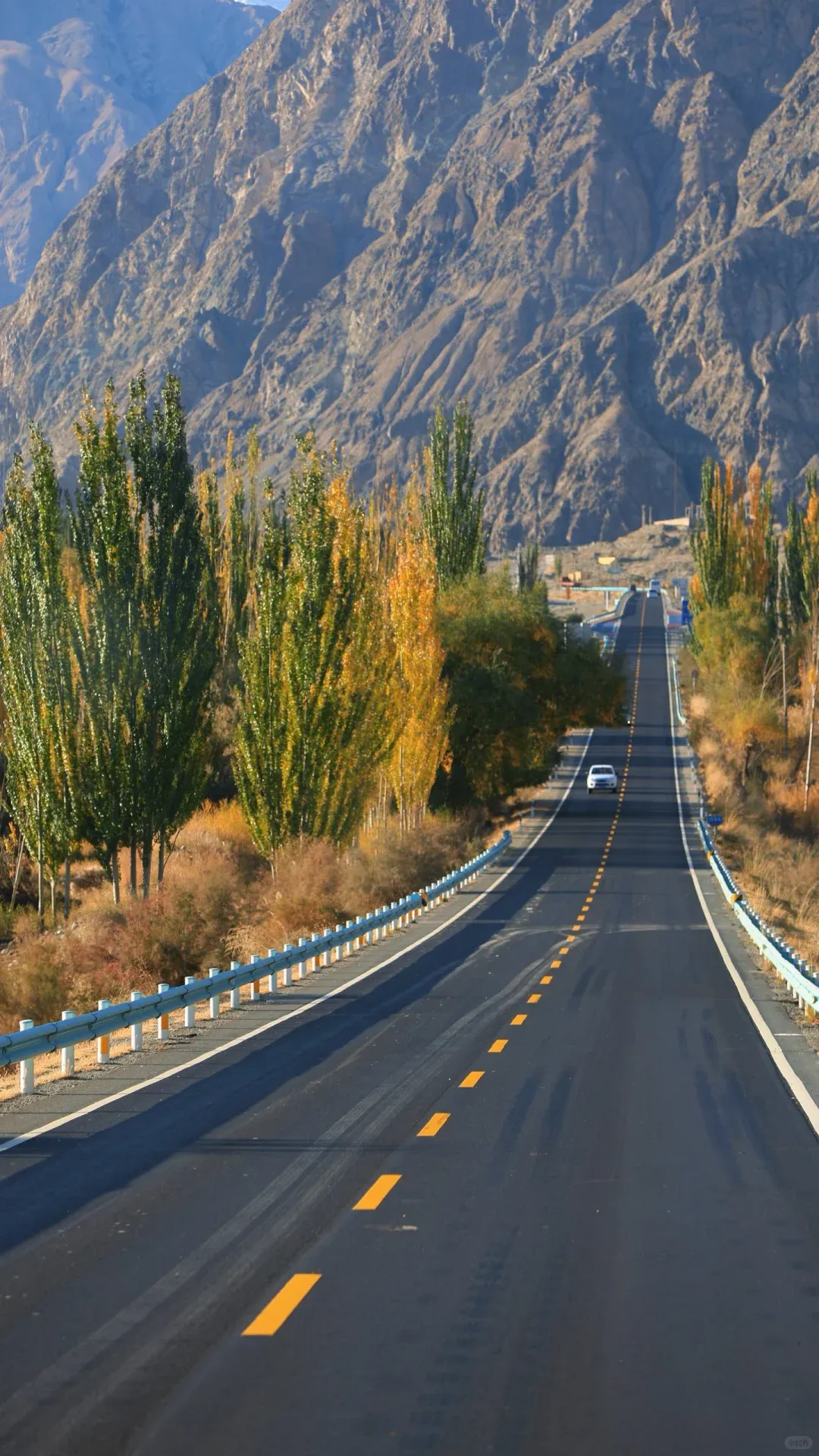 268ca94ad6ed8430c6d5d998549d22cf-sz_3854424