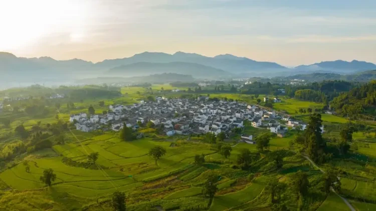 26a7be429adf91b4fa83af2b53b61834-sz_93416