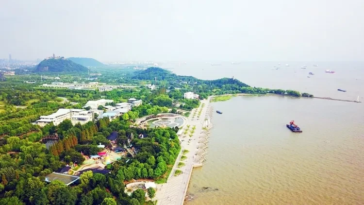 26b429429a1dec19795446631e488c60-sz_397558