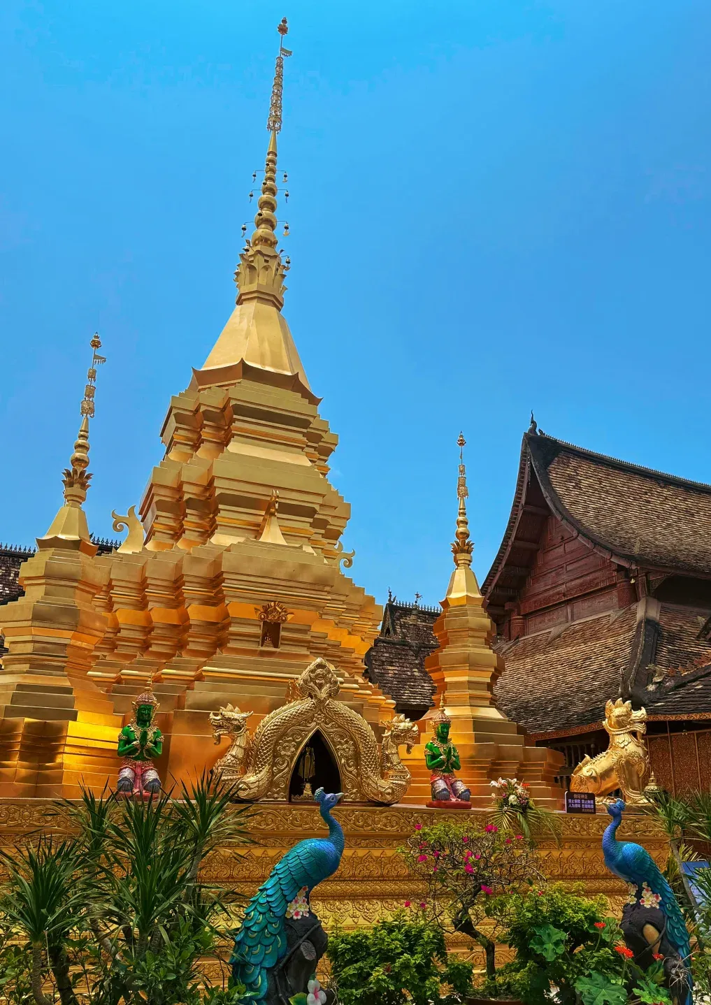 26b7a67578ed0cf7ade9ad173b317f69-sz_2606568