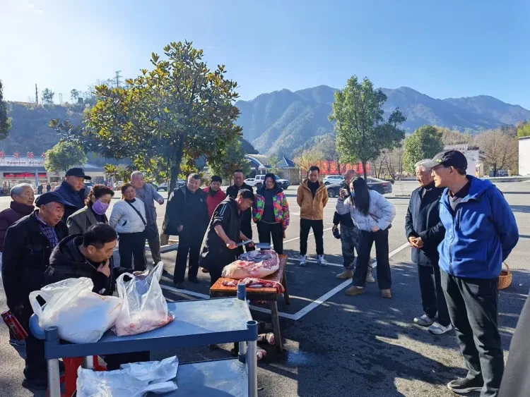 26ca1c450fc5ebcad9130f1106a88607-sz_326078